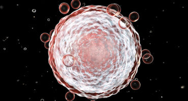 ποιότητα ωαρίων ποιότητα ωαρίων