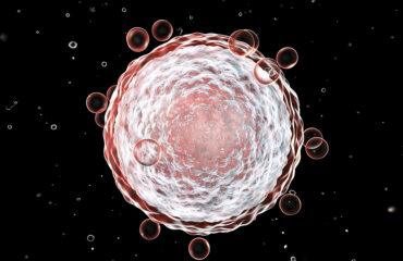 ποιότητα ωαρίων ποιότητα ωαρίων